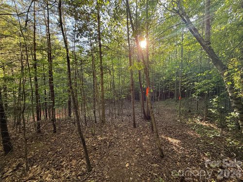 5-Lot # 5 West Legacy Drive, Hendersonville, NC, 28739 | Card Image