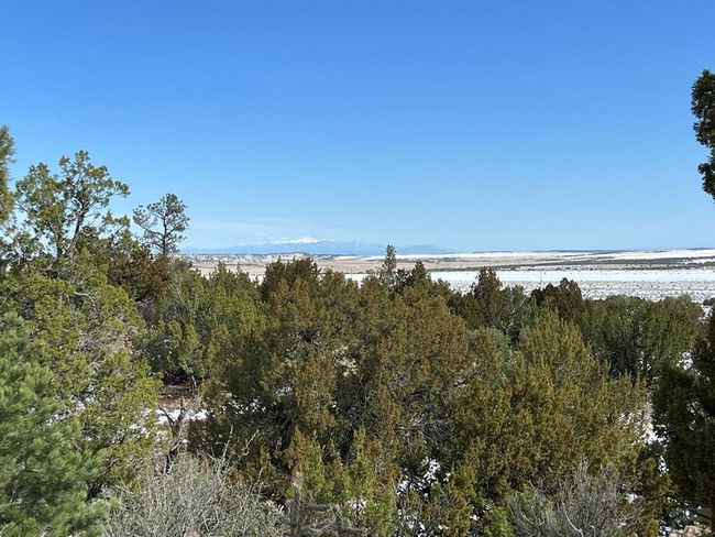 28 Turkey Ridge Rd, Home with 0 bedrooms, 0 bathrooms and null parking in Walsenburg CO | Image 29