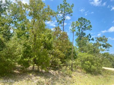 Lot 13 Noble Circle, Home with 0 bedrooms, 0 bathrooms and null parking in Alford FL | Image 1