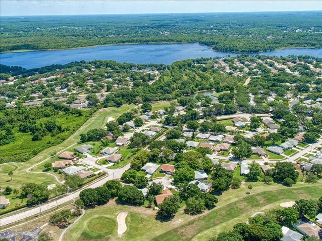 Over 2, 400 homes make up Highland Lakes on Lake Tarpon~ | Image 41