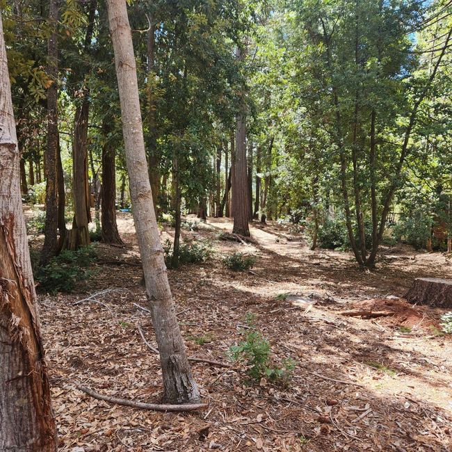 11254 Winding Way, Home with 0 bedrooms, 0 bathrooms and null parking in Clipper Mills CA | Image 6