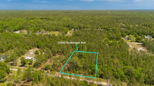 10260 Beckenger Ave, Hastings, FL, 32145 | Card Image