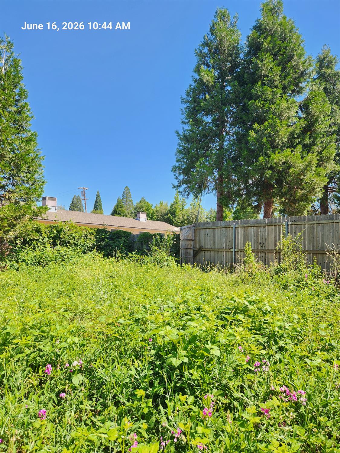 Land in Grass Valley 5