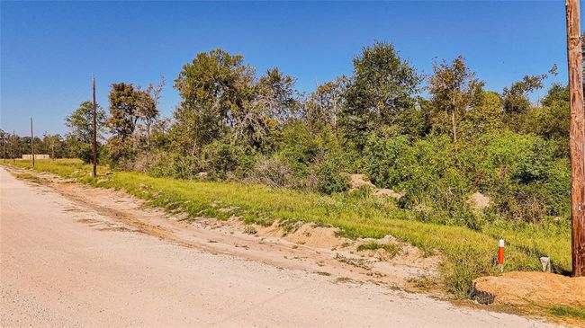1 Oak Park Trl, Home with 0 bedrooms, 0 bathrooms and null parking in Onalaska TX | Image 7