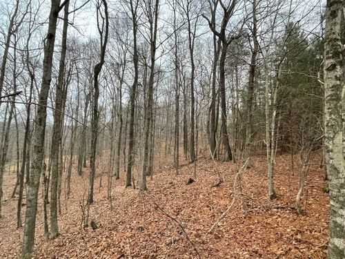 lots-50-51-52-0 Canyon Run Road, Lewisburg, KY, 42256 | Card Image