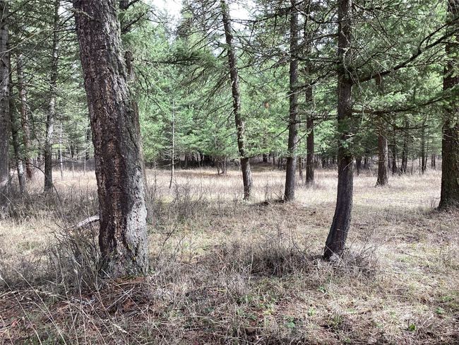 1 Eagle Pass Road, Home with 0 bedrooms, 0 bathrooms and null parking in Charlo MT | Image 30