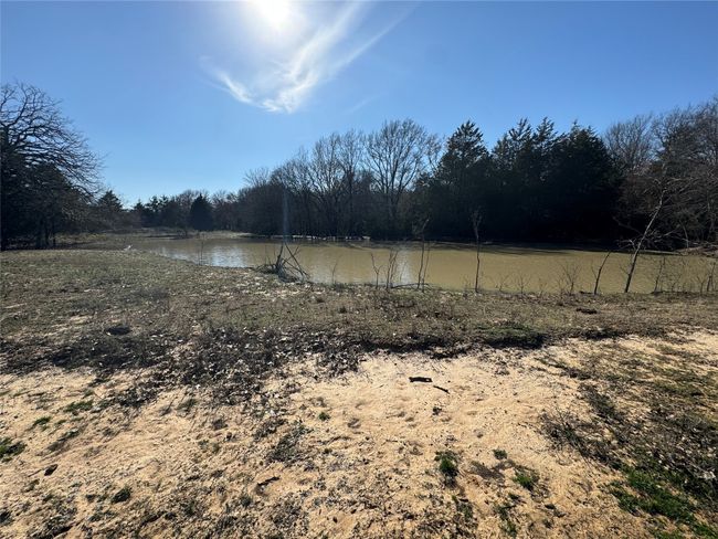 one of two ponds | Image 34