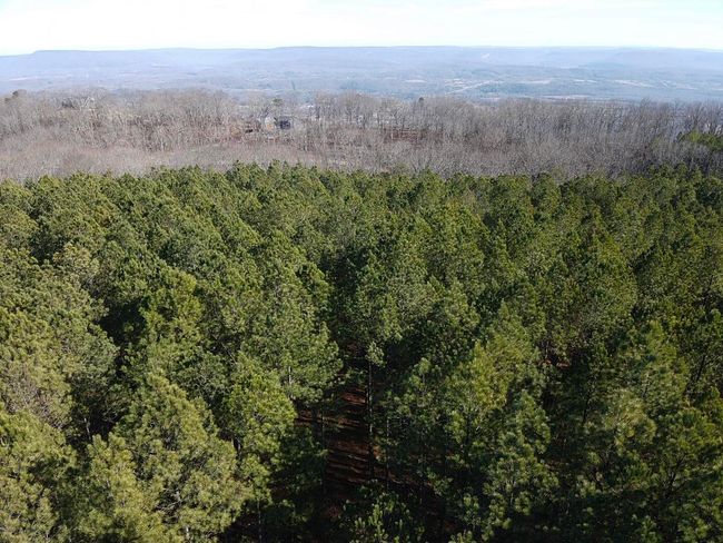 80 High Point Ln, Home with 0 bedrooms, 0 bathrooms and null parking in Jasper TN | Image 119
