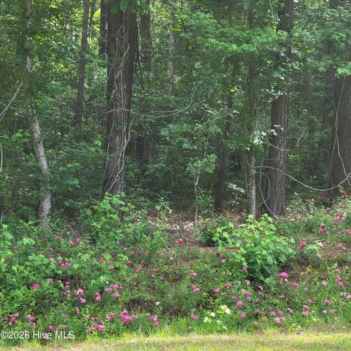 Lot 5-A Porter Rd, Currie, NC, 28435 | Card Image