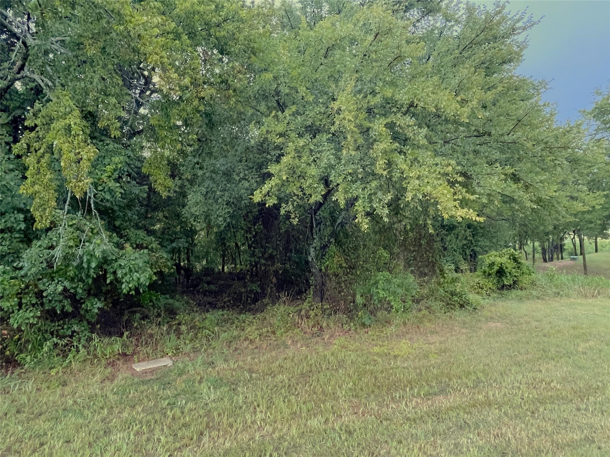 Land in Gordonville 3