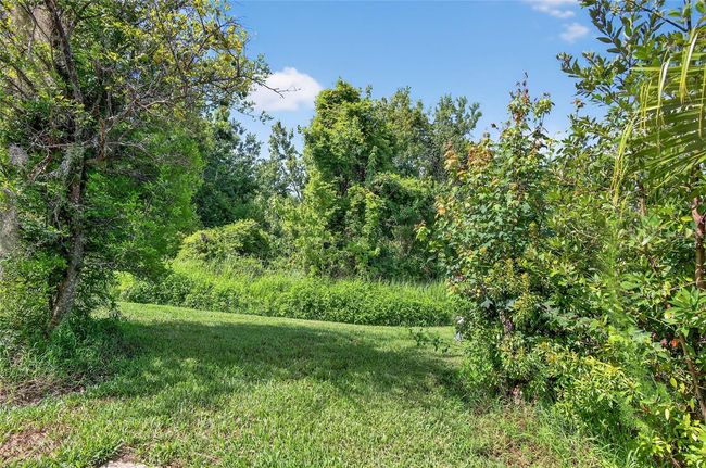 1822 Sassafras Dr, House other with 2 bedrooms, 2 bathrooms and null parking in WESLEY CHAPEL FL | Image 32