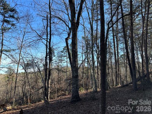 8-00 Hawkins Ln, Mill Spring, NC, 28756 | Card Image