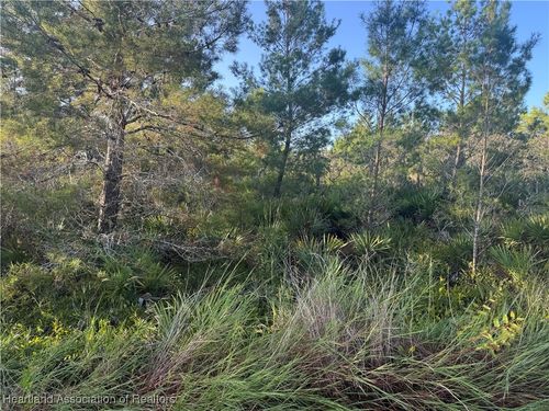 206 Oriole Ave, Sebring, FL, 33870 | Card Image
