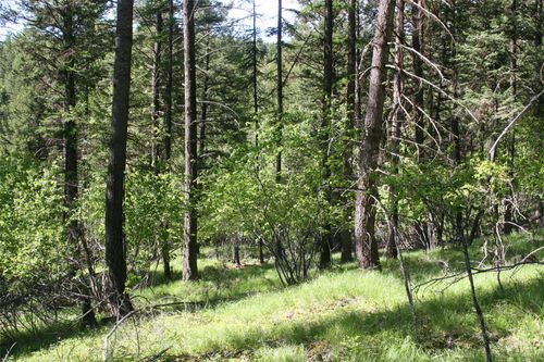 1450 Kienas Rd, Kalispell, MT, 59901-8138 | Card Image