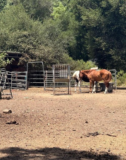 12847 Dunbar Road, Glen Ellen, CA, 95442 | Card Image
