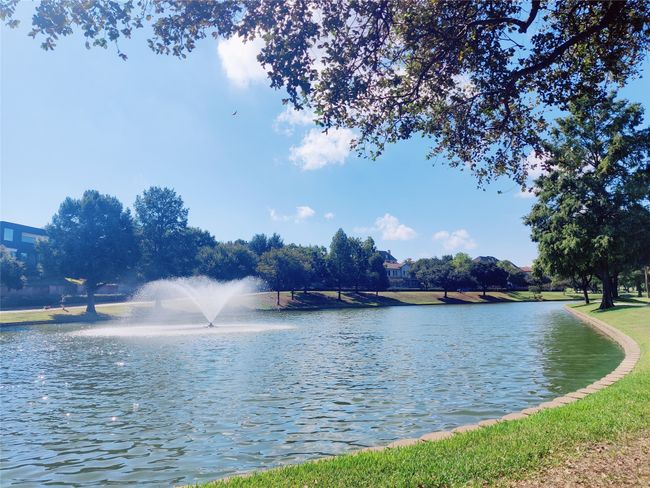 walk or jog around beautiful​​‌​​​​‌​​‌‌​‌‌​​​‌‌​​‌‌​‌​​​​​‌ pond | Image 27