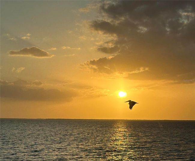 Sunset from 20B | Image 36