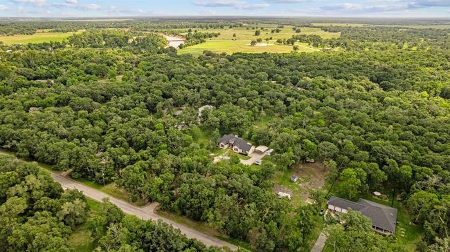 Drone shot revealing the home nestled amid live oaks on a heavily treed 5.3 acre parcel. | Image 40