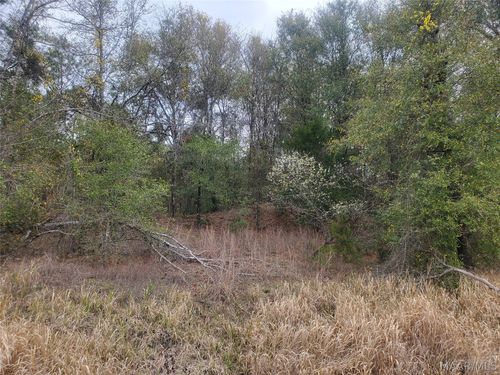 0 Pleasant Hill Rd, Gilbertown, AL, 36908 | Card Image