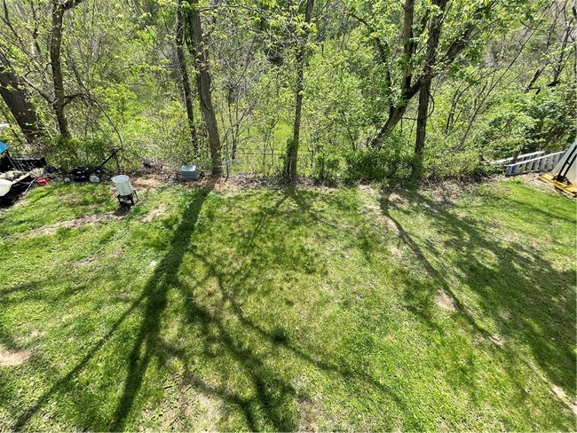 Back yard | Image 34