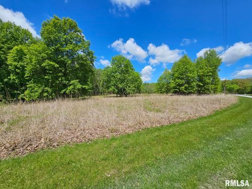 Lot 41 Deer Park Dr, Dix, IL, 62830 | Card Image