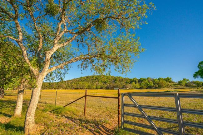 View of gate featuring a rural view, a yard, and fence | Image 18