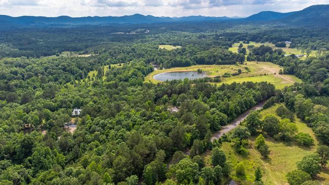 95 Thunder Mountain Rd, House other with 4 bedrooms, 3 bathrooms and null parking in Caddo Gap AR | Image 48