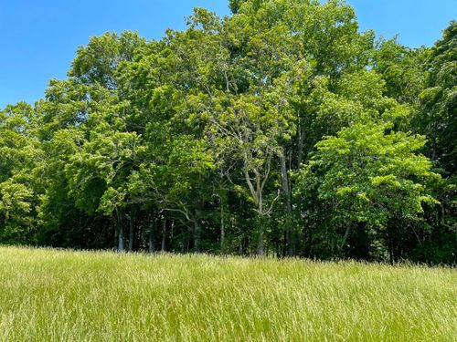 77 Meadows Loop, Russell Springs, KY, 42642 | Card Image