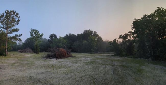 Large clearing looking north. | Image 13