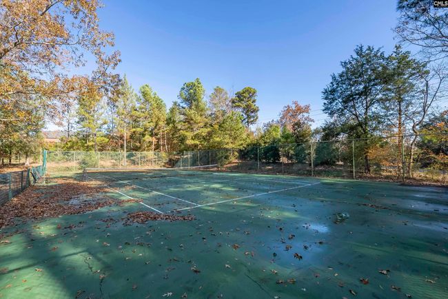 124 Pond Edge Ln, House other with 4 bedrooms, 3 bathrooms and null parking in Chapin SC | Image 21