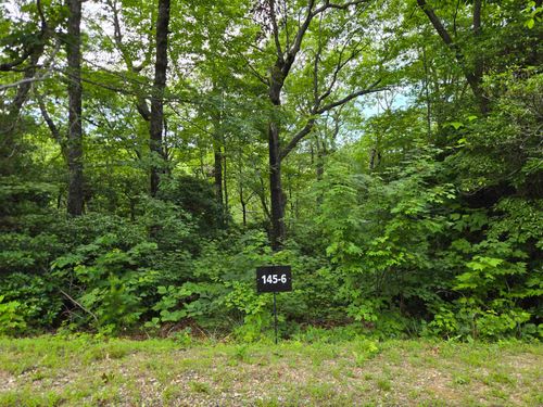 0 Snap Dragon Way, Landrum, SC, 29356 | Card Image