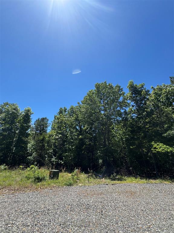 Land in Watson 4