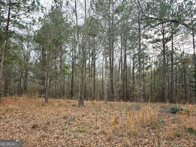 0 Willow St, Home with 0 bedrooms, 0 bathrooms and null parking in Stephens GA | Image 8
