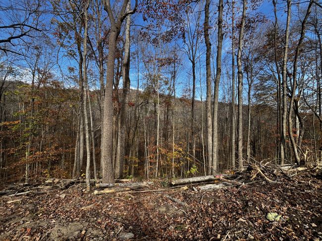 0 Northcutts Cove Rd, Home with 0 bedrooms, 0 bathrooms and null parking in Beersheba Springs TN | Image 21