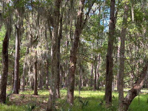 102 Primrose Ln, Daufuskie Island, SC, 29915-9258 | Card Image