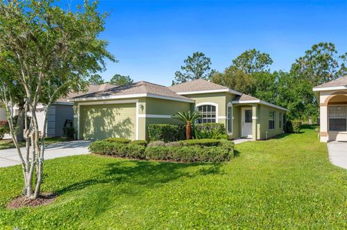 3211 Banyan Hill Lane, Land O Lakes, FL, 34639 | Card Image