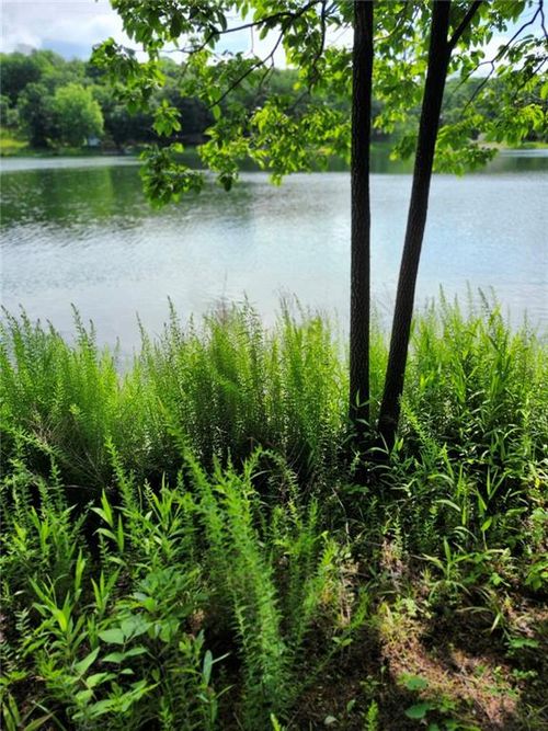 158 Greentree Rdg, Mound City, KS, 66056-5447 | Card Image