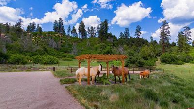 7833 Road 46, Home with 3 bedrooms, 3 bathrooms and null parking in Mancos CO | Image 2