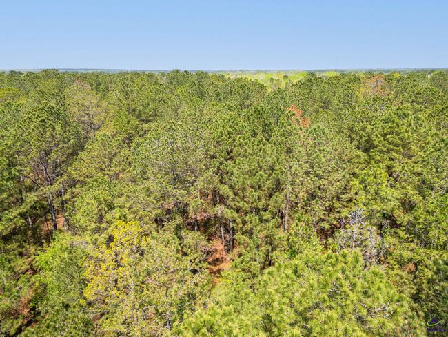 5760 Ga Highway 96 W, Home with 0 bedrooms, 0 bathrooms and null parking in Jeffersonville GA | Image 7