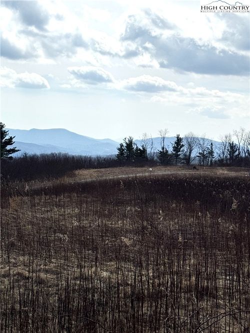 TBD Lot 52 Crestwood Circle, Linville, NC, 28646 | Card Image