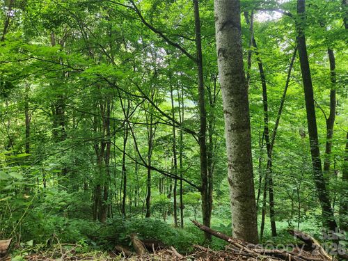 0000 Jacks Knob Road, Weaverville, NC, 28787 | Card Image