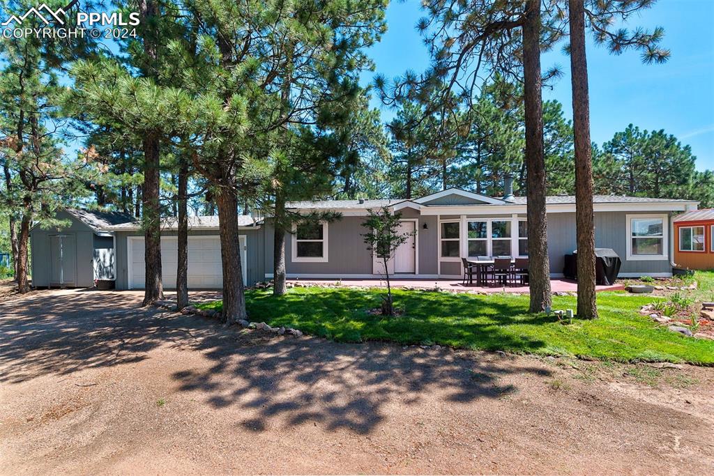 Black Squirrel Rd, Colorado Springs, CO 80908
