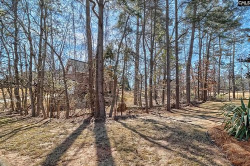 429 Oxenbridge Way, Chapin, SC, 29036 | Card Image