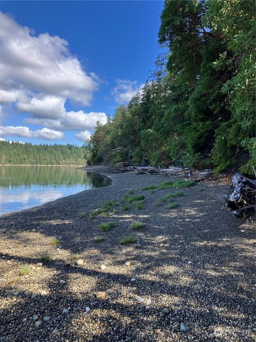 6 E Swindlers Cove Rd, Shelton, WA, 98584-9809 | Card Image