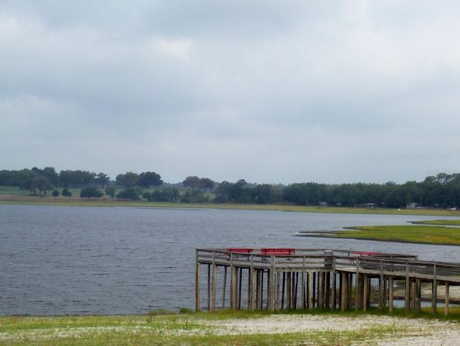 21570 Sw Raintree St, House other with 2 bedrooms, 2 bathrooms and null parking in Dunnellon FL | Image 44