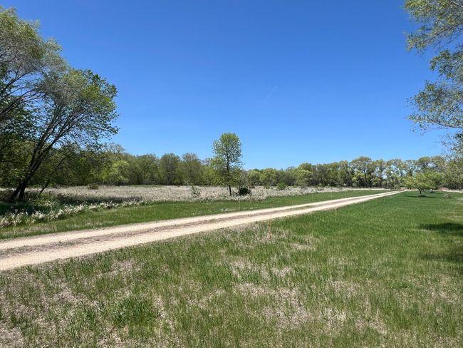 Driveway - Towards Highway 7 - View To North | Image 53