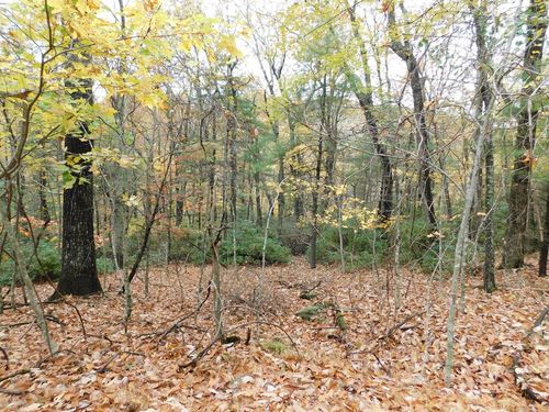 C11-C12 Little Ridge Trl, Fancy Gap, VA, 24328 | Card Image