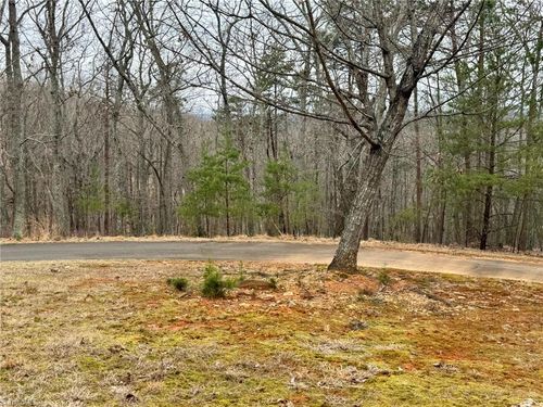 295 Cascading Creek Trl, Denton, NC, 27239-6139 | Card Image