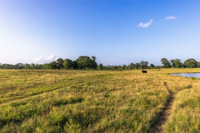 RD - 9759 Texas Highway 155, Home with 0 bedrooms, 0 bathrooms and null parking in Avinger TX | Image 32