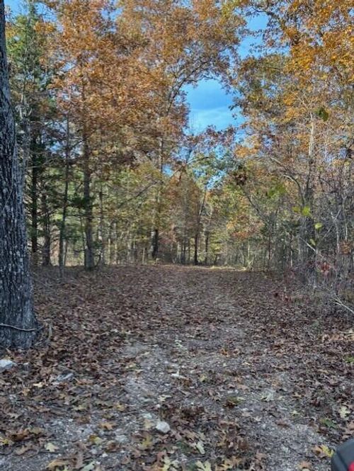 Tbd County Road Ah 272, Vanzant, MO, 65768 | Card Image